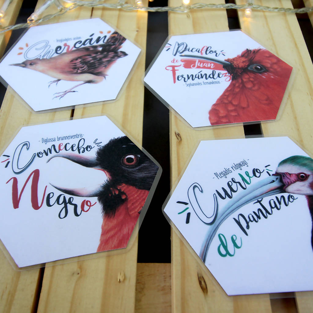 Juego Memorice: Aves de Chile