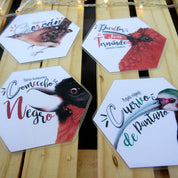 Juego Memorice: Aves de Chile