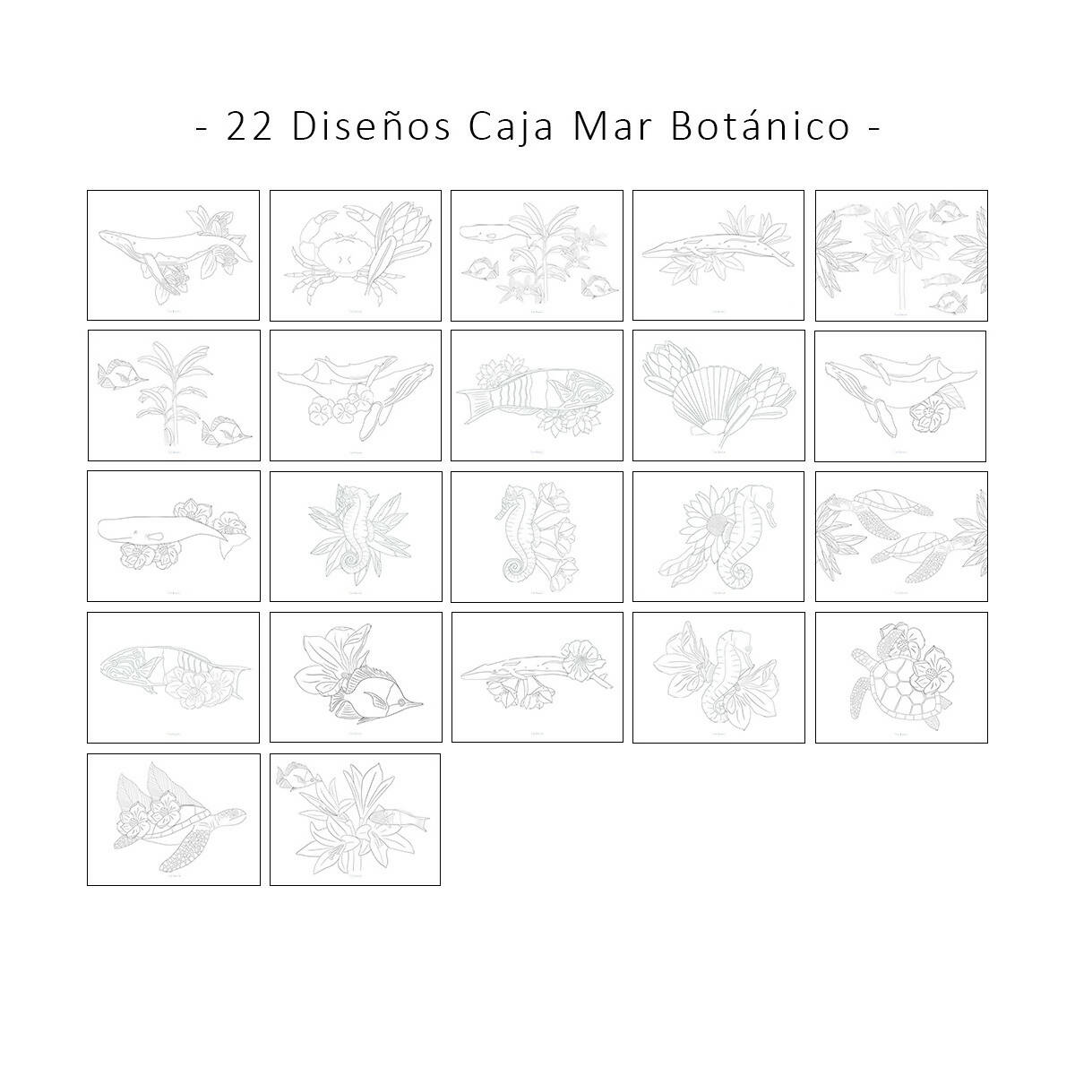 Pack Caja Mar Botánico + Caja Primavera ( con 44 láminas para pintar cada una)