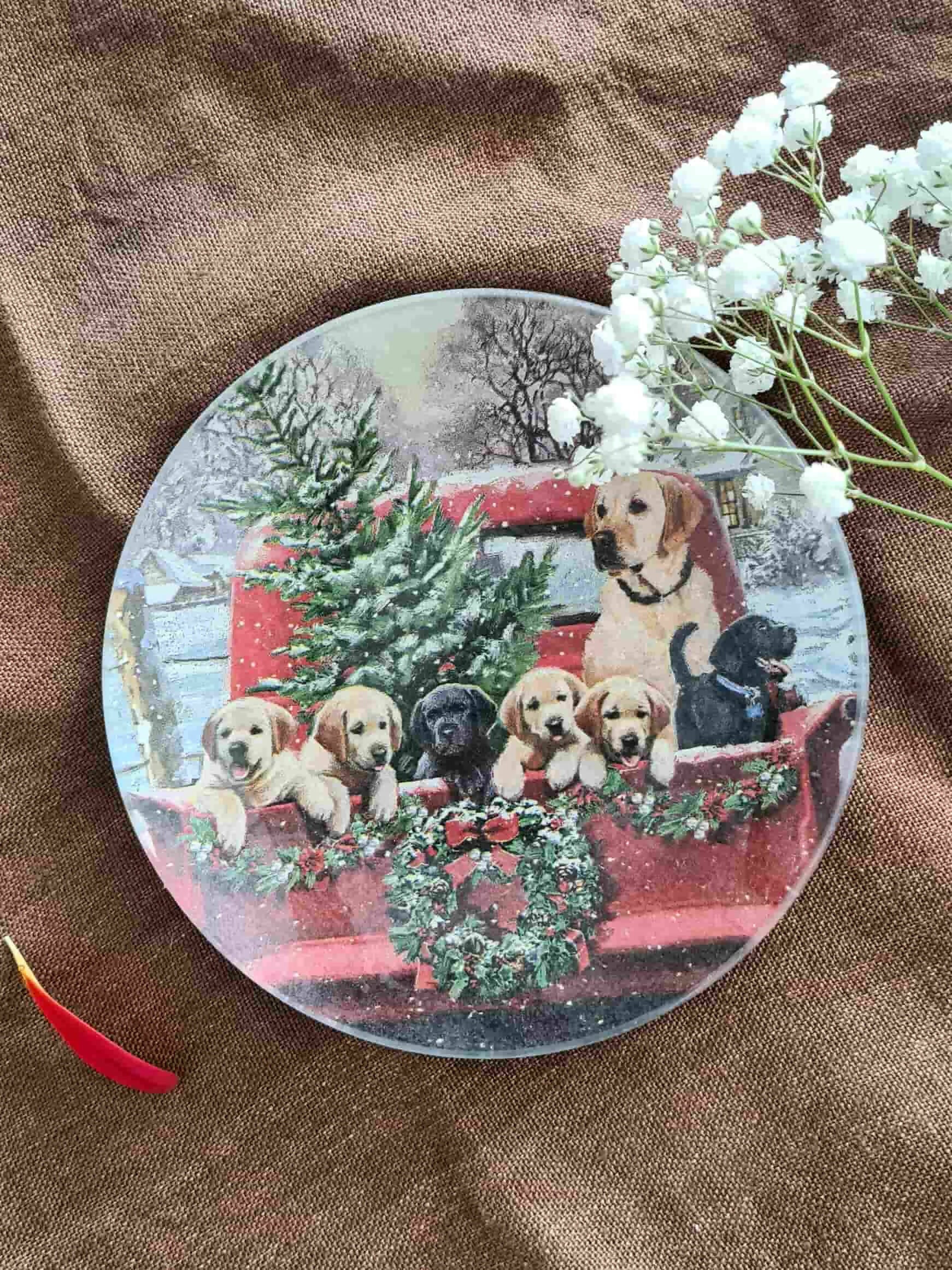 Conjunto Platos redondo Navidad Familia de cachorros