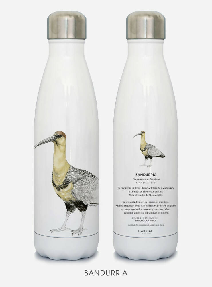 BOTELLA BANDURRIA