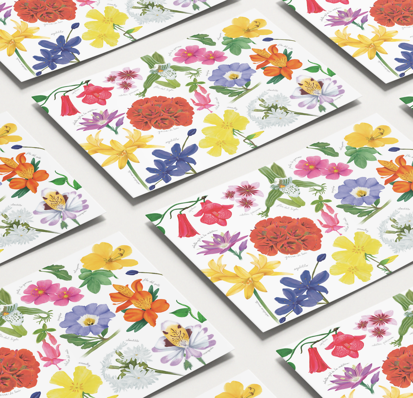 Individuales de Flores nativas de Chile ilustradas