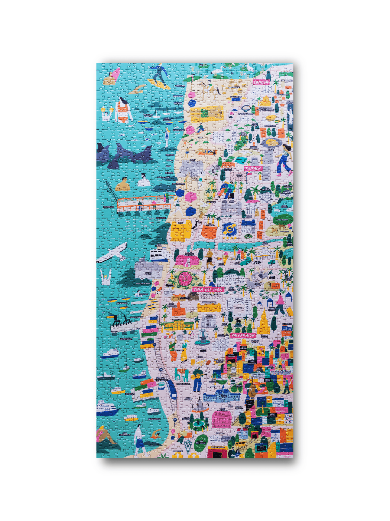 Puzzle Mapa Valparaíso/ Viña 1000 Piezas