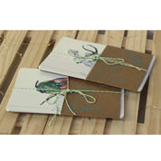 Colección Postales "Coleópteros de Chile"