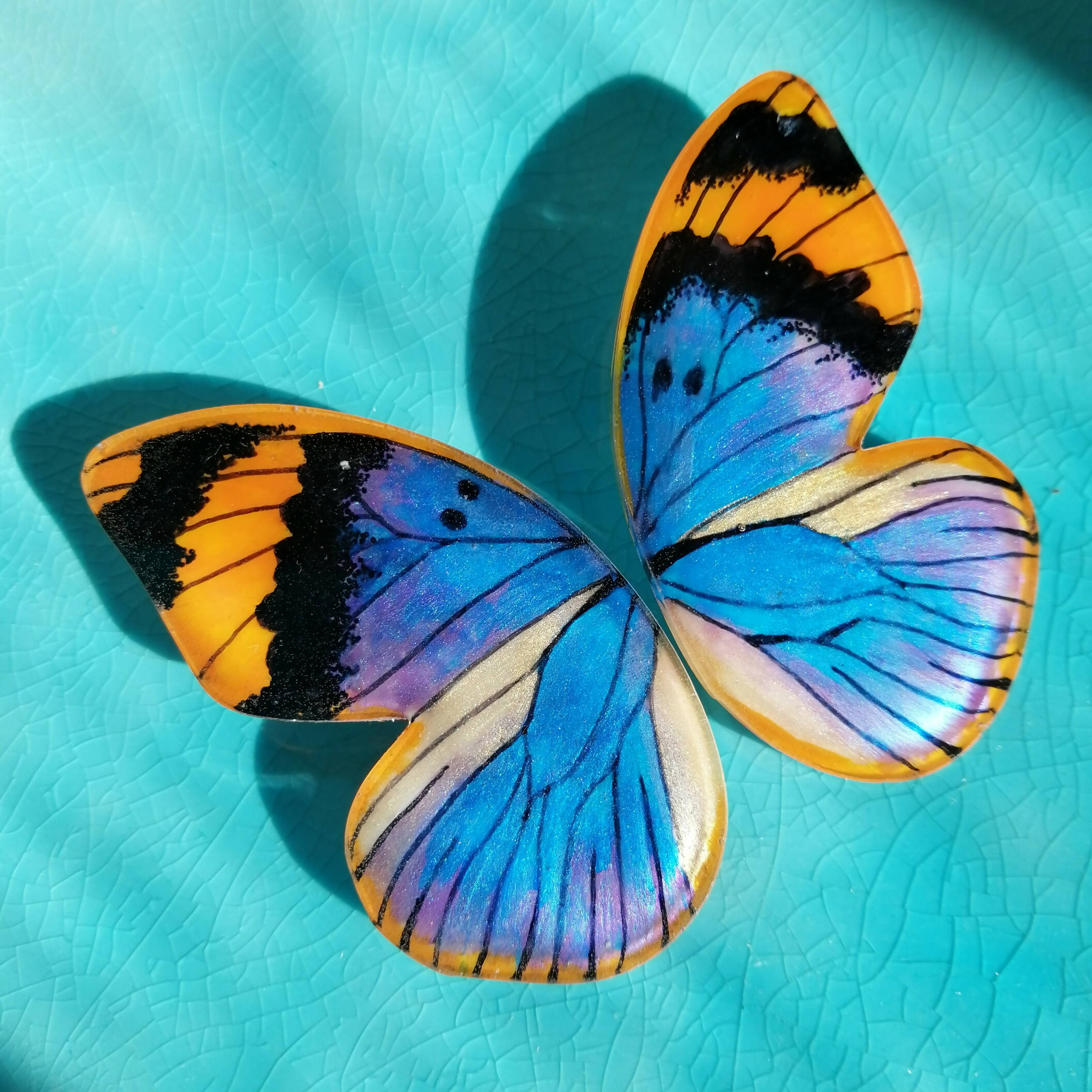 Aros Semi Mariposa Euphaedra XL Pin Plata
