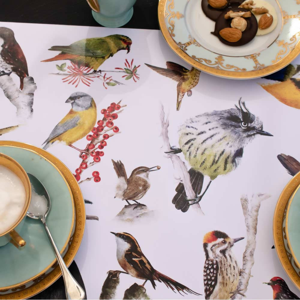 Individuales de aves nativas del sur de Chile ilustrados - Creado en Chile